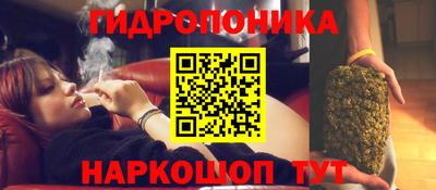 дмт Нягань