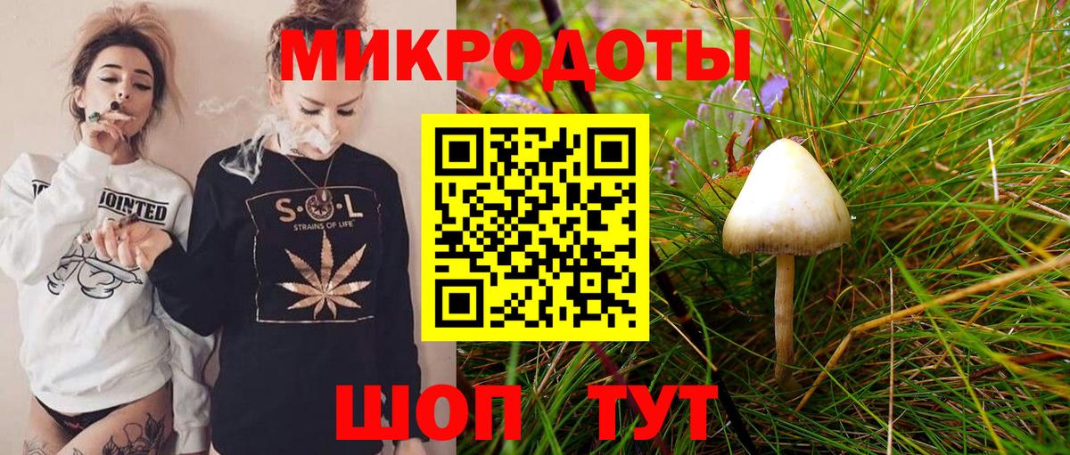 Свободный  Галлюциногенные грибы Cubensis  Вход с VPN 